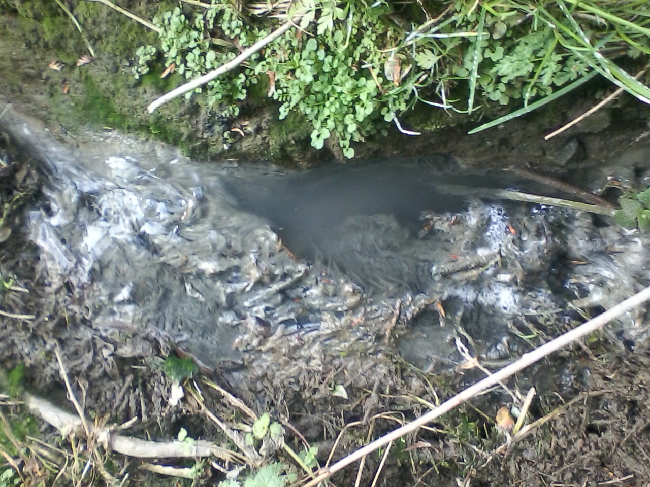 Ruisseau du Grand Clos, milieu récepteur pollué